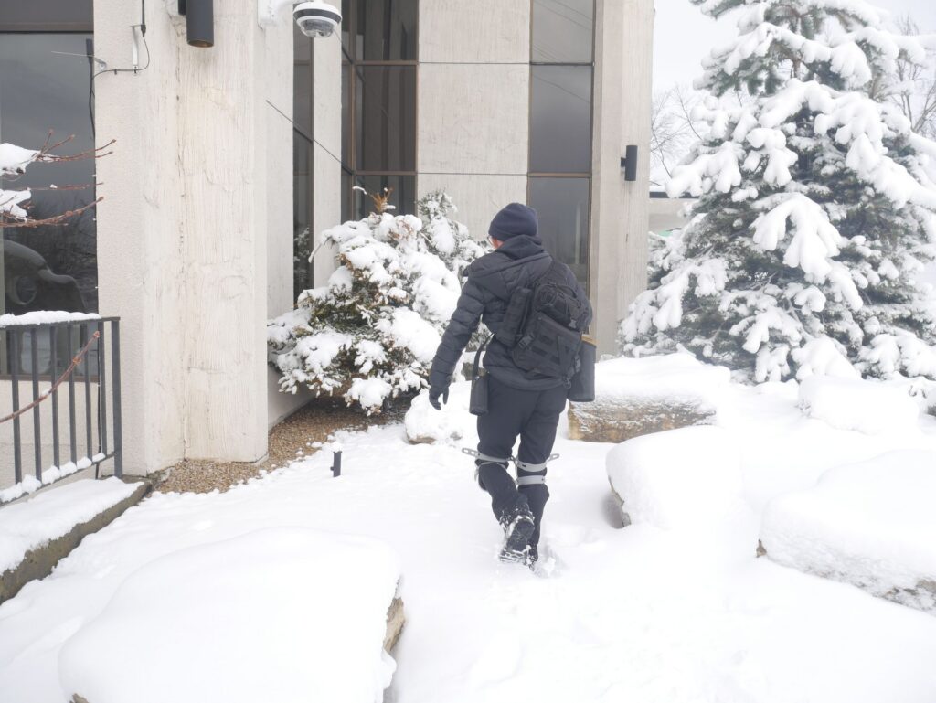 The “False Spring” Effect: Why Pests Become More Active After a Late Winter Blizzard