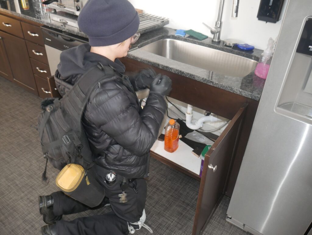 DIY vs. Professional Pest Control