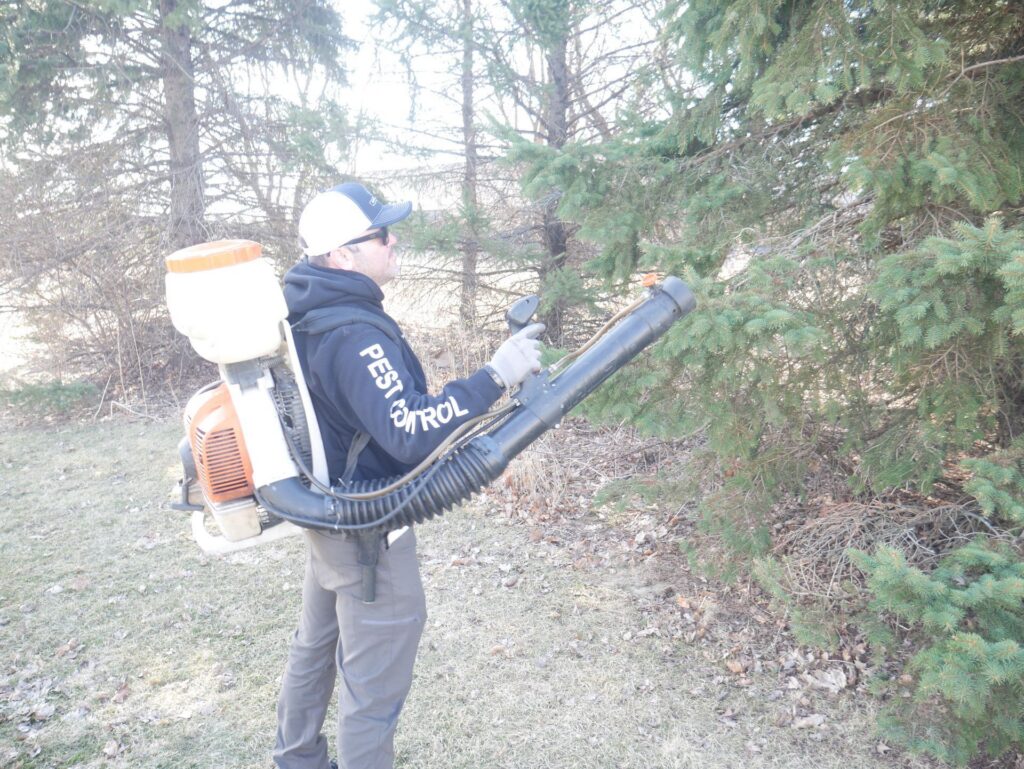 Spring Is Here and So Are Mosquitoes and Ticks