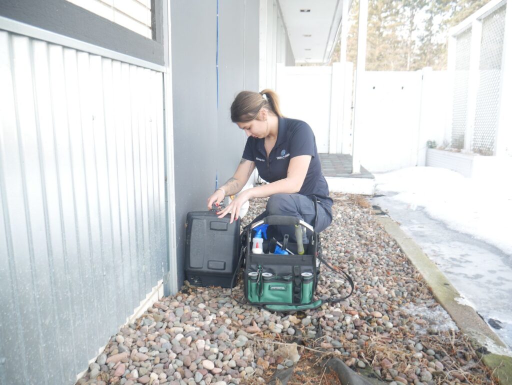 Overwintering Pests in Western Wisconsin: Why They Invade Your Home in Spring