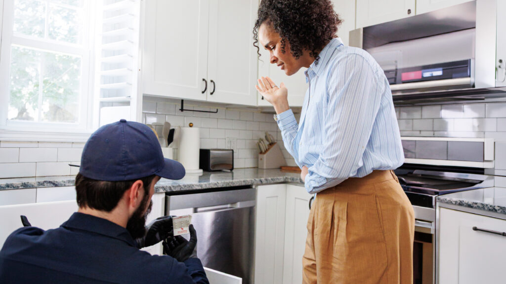 The Fly Problem You Can’t Clean Your Way Out Of