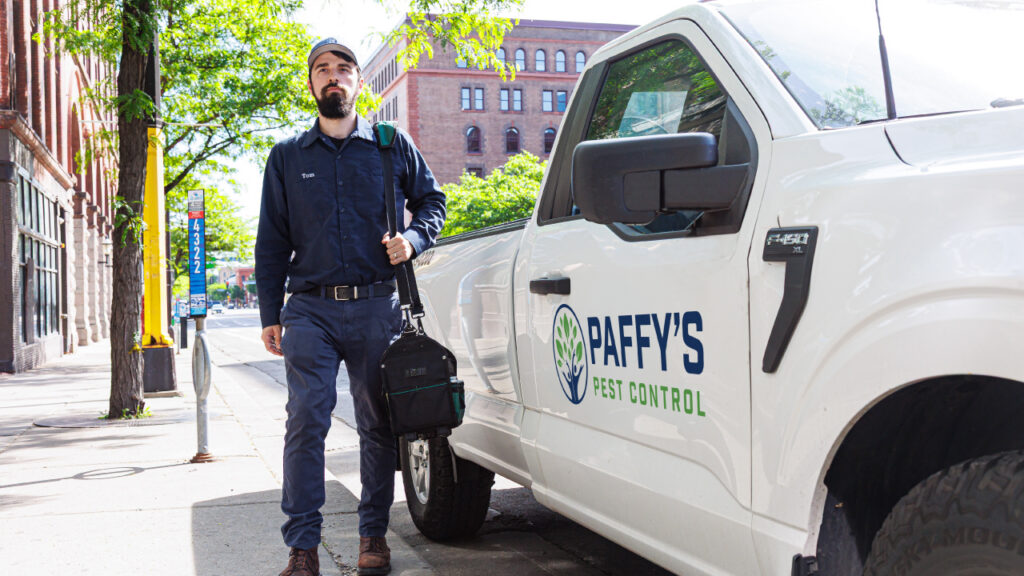 The Paffy’s Pest Prevention Playbook: How We Stop Rodents